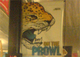 Jags