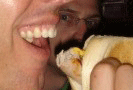 Wurst