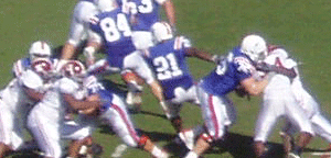 Go Gators!